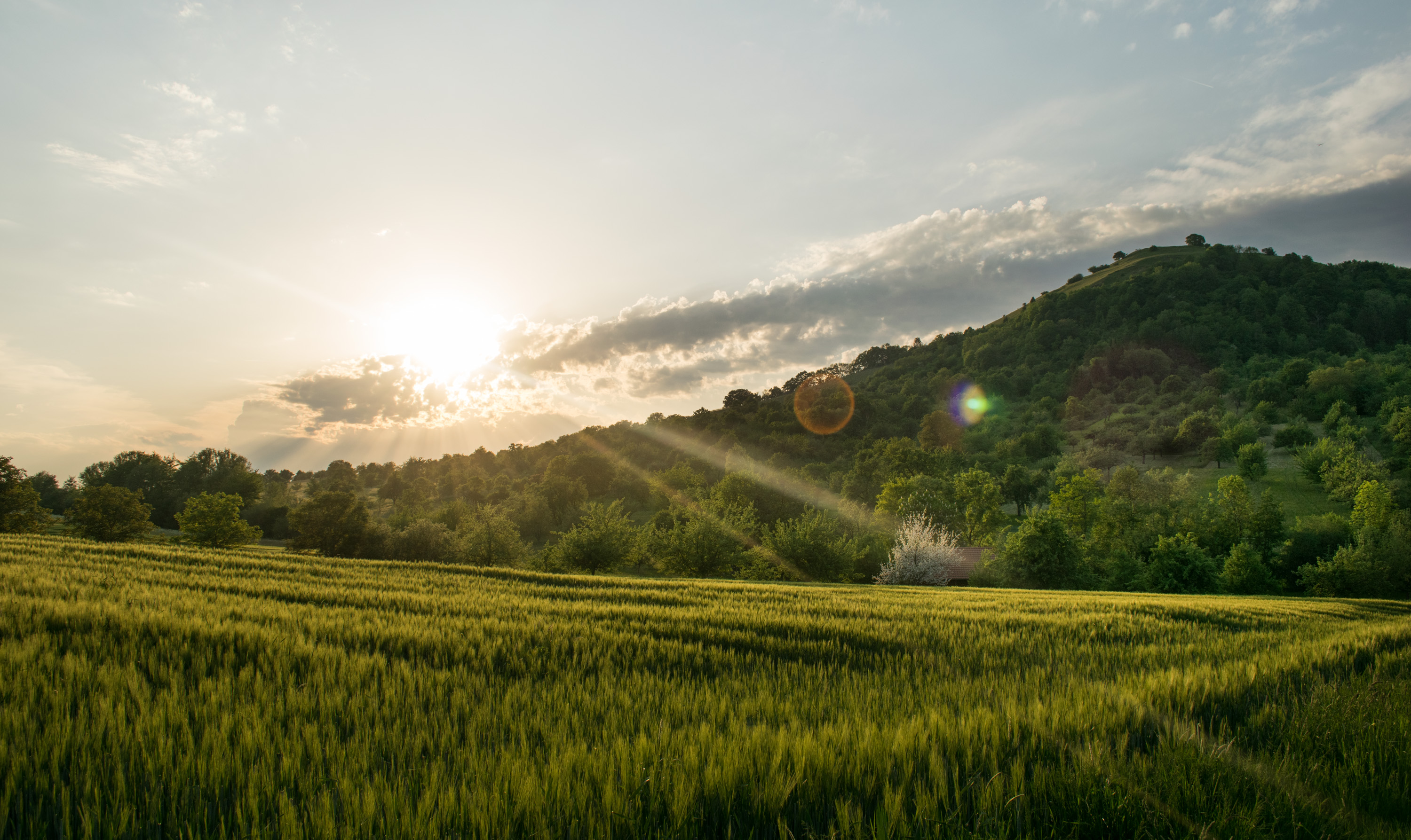 Limburg Aus Richtung Neidlingen Hepsisau